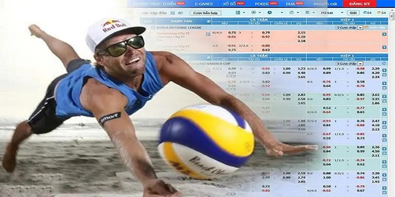 Basic volleyball betting rules newbies need to know