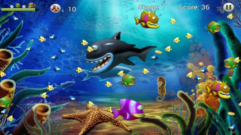 Collection of attractive fishing frenzy games on 50jili